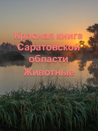 Презентация Красной книги животных Саратовской области для дошкольников. презентация к занятию (окружающий мир, старшая группа) по теме