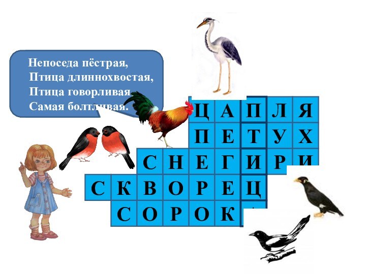 ,ЦАЛЯНа болоте обитаетИ лягушек поедает. Хвост с узорами,Сапоги со шпорами.