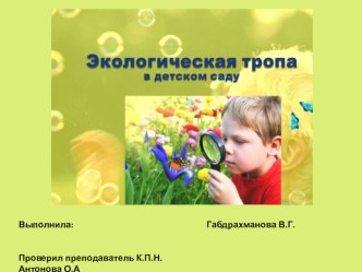 проект Экологическая тропа проект (старшая группа)