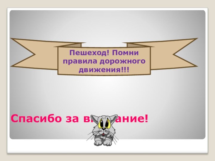 Спасибо за внимание!Пешеход! Помни правила дорожного движения!!!