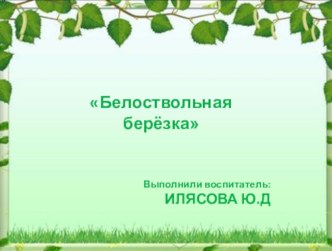 Белая береза презентация презентация к уроку по окружающему миру (младшая группа)