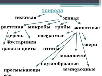 Разнообразие животных план-конспект урока по окружающему миру (1 класс)