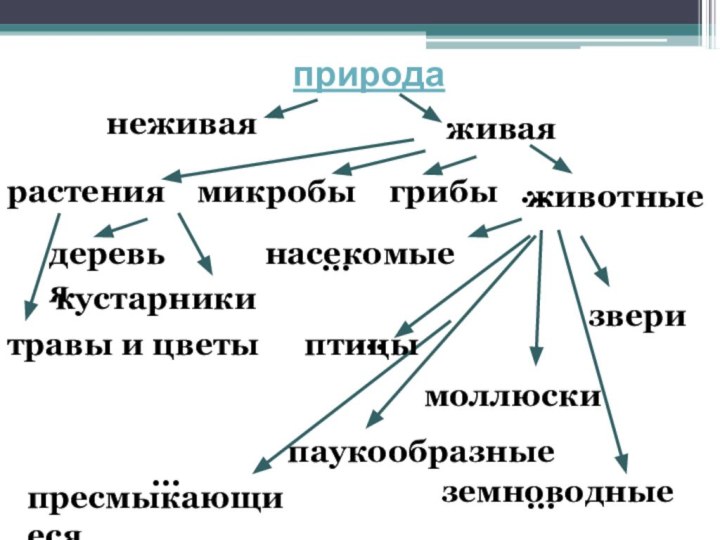 природанеживаяживаярастениямикробыгрибы…деревьякустарникитравы и цветыпаукообразныемоллюскизвери…………животныенасекомыептицыземноводныепресмыкающиеся