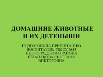 Презентация к занятию Домашние животные и их детеныши презентация к уроку по окружающему миру (старшая группа)