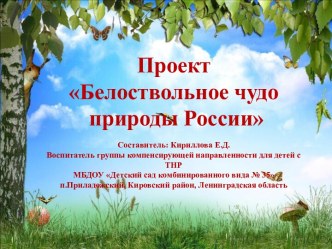 Белоствольное чудо природы России методическая разработка по окружающему миру (подготовительная группа)