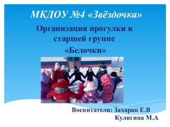 Организация прогулки в старшей группе Белочки материал (старшая группа)