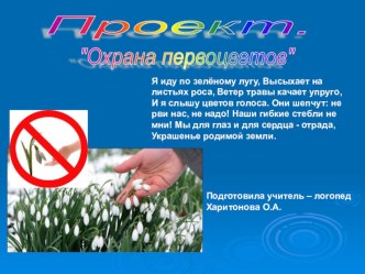 Познавательный проект Охрана первоцветов проект по логопедии (подготовительная группа)