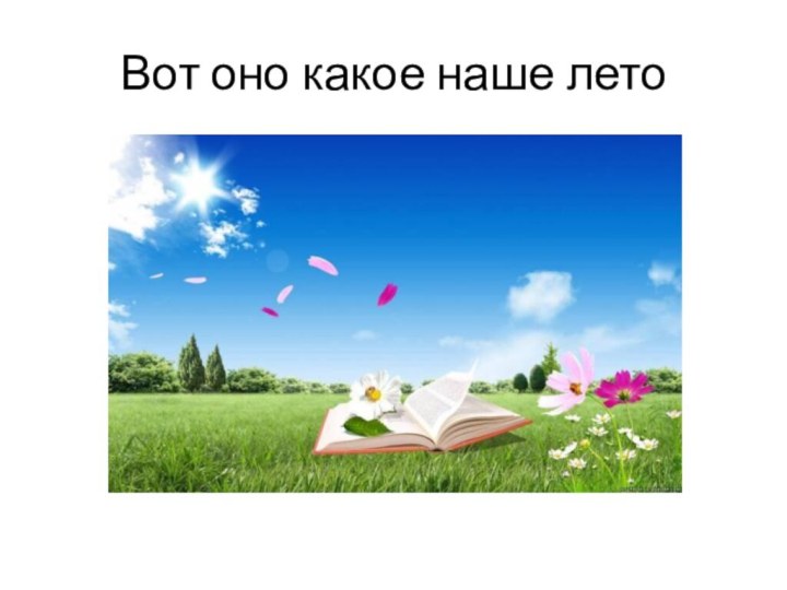 Вот оно какое наше лето