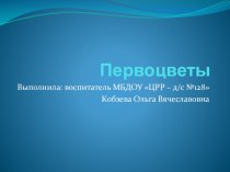 Презентация Первоцветы презентация