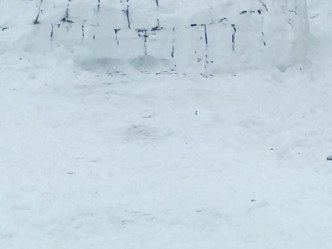 конкурс  Снежных дел мастера материал (младшая группа)