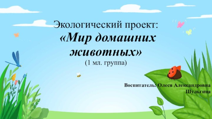 Экологический проект:  «Мир домашних животных»  (1 мл. группа)Воспитатель: Олеся Александровна Шульгина