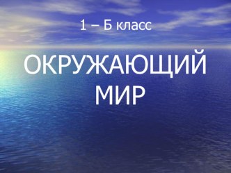 Окружающий мир. Птицы презентация к уроку по окружающему миру (1 класс)