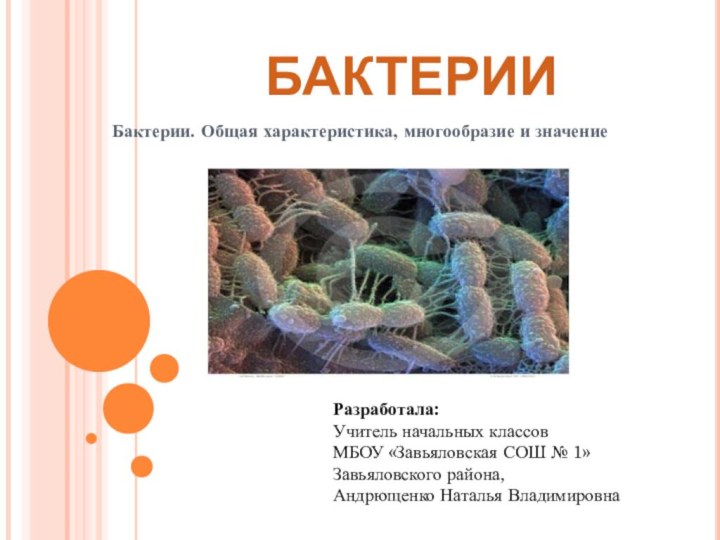 БАКТЕРИИБактерии. Общая характеристика, многообразие и значениеРазработала:Учитель начальных классовМБОУ «Завьяловская СОШ № 1»Завьяловского района, Андрющенко Наталья Владимировна