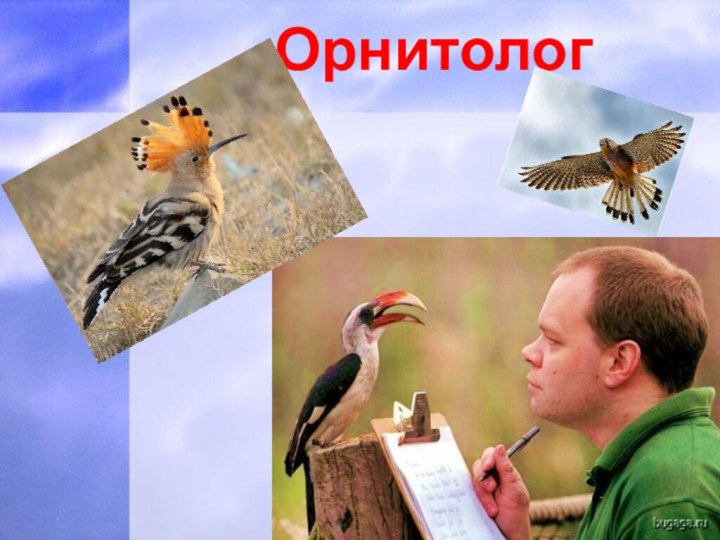 Орнитолог