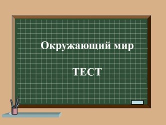 Презентация. Тест. Мир растений. А.А.Плешаков Окружающий мир 3 кл.Перспектива. тест по окружающему миру (3 класс)