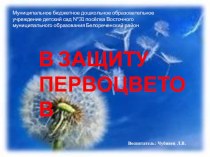 В защиту первоцветов план-конспект занятия по окружающему миру (старшая группа)