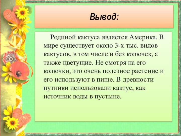 Родиной кактуса является Америка. В мире существует около 3-х тыс. видов кактусов,