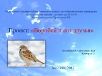 Проект Воробей и его друзья проект (средняя группа)