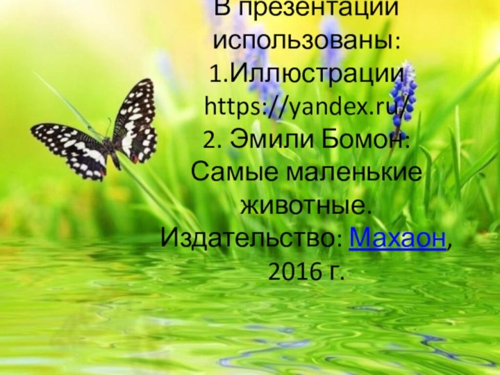 В презентации использованы: 1.Иллюстрации https://yandex.ru/ 2. Эмили Бомон: Самые маленькие животные. Издательство: Махаон,