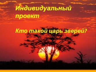 Индивидуальный проект Царь зверей презентация к уроку по окружающему миру (средняя группа)