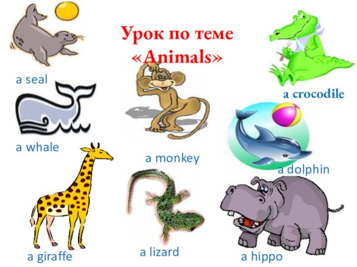 Урок по теме «Animals»a whalea crocodile a lizarda hippoa dolphina giraffea monkeya seal
