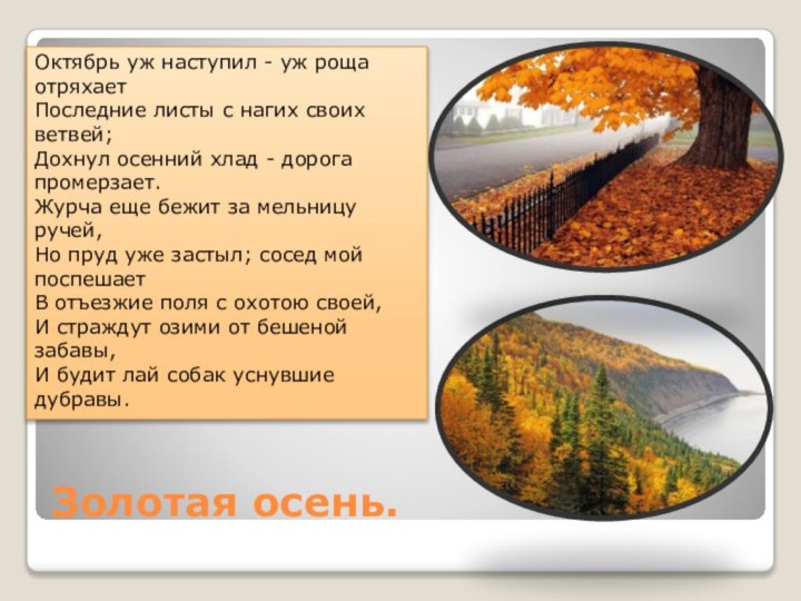 Золотая осень.Октябрь уж наступил - уж роща отряхает Последние листы с нагих