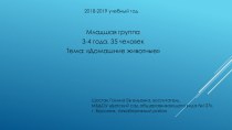 Презентация . Тема: Предметно-развивающая среда в ДОУ по ФГОС презентация к уроку (младшая группа)