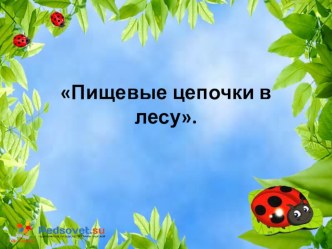 Занятие по экологии в подготовительной группе с презентацией. план-конспект занятия по окружающему миру (подготовительная группа)