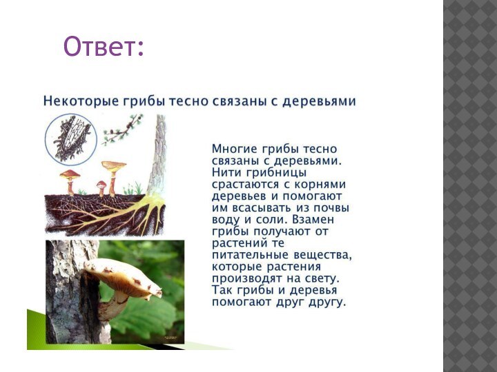 Ответ: