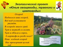 Проект Юные овощеводы, травники и цветоводы проект по окружающему миру (старшая группа)