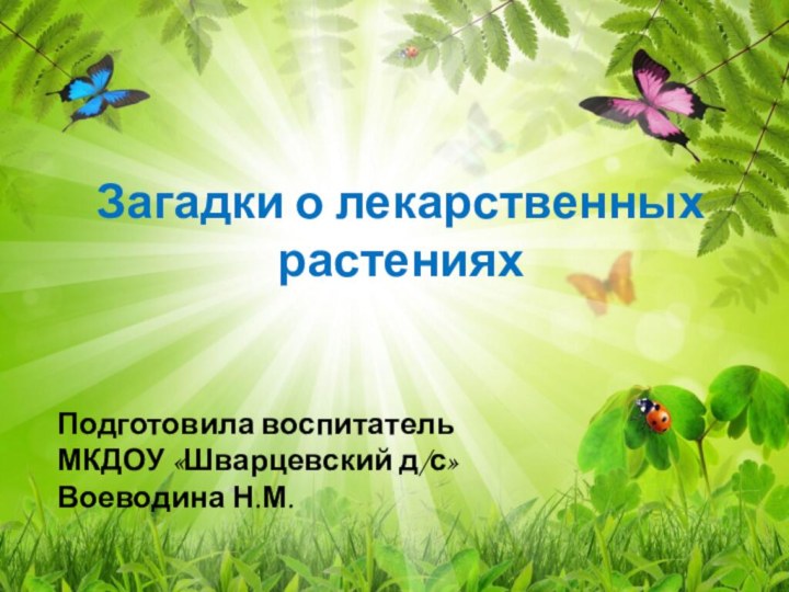 Подготовила воспитатель МКДОУ «Шварцевский д/с» Воеводина Н.М.Загадки о лекарственных растениях