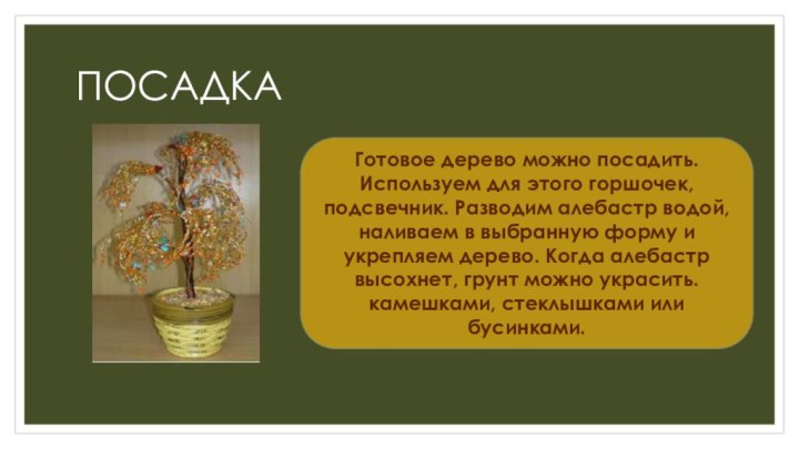 ПОСАДКА Готовое дерево можно посадить.Используем для этого горшочек, подсвечник. Разводим алебастр водой,