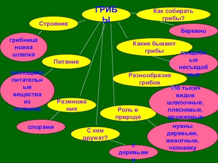 ГРИБЫСтроениеКак собирать грибы?ПитаниеС кем дружат?РазмножениеРоль в природеРазнообразие грибовКакие бывают грибыгрибницаножкашляпкапоглощают питательные вещества
