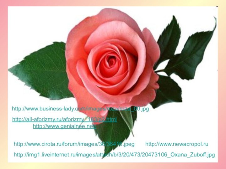 http://www.cirota.ru/forum/images/36/36416.jpeghttp://img1.liveinternet.ru/images/attach/b/3/20/473/20473106_Oxana_Zuboff.jpghttp://www.business-lady.com/images/roza/roza_00.jpghttp://www.newacropol.ruhttp://all-aforizmy.ru/aforizmy_183/p2.htmlhttp://www.genialnee.net/