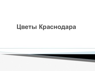 Презентация Цветы Краснодара презентация по окружающему миру