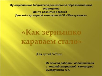 Презентация: Как зернышко караваем стало. презентация к уроку по окружающему миру (старшая группа) по теме