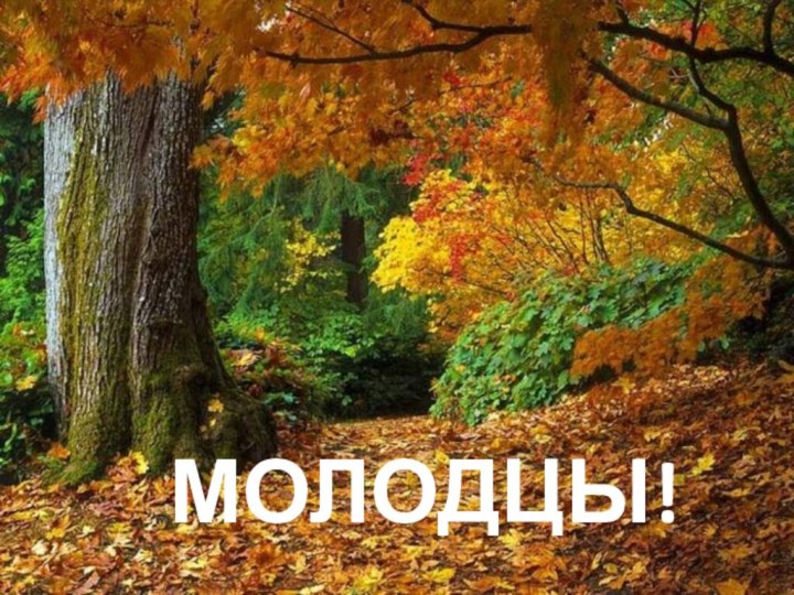 МОЛОДЦЫ!