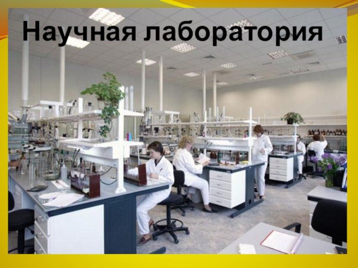 Научная лаборатория