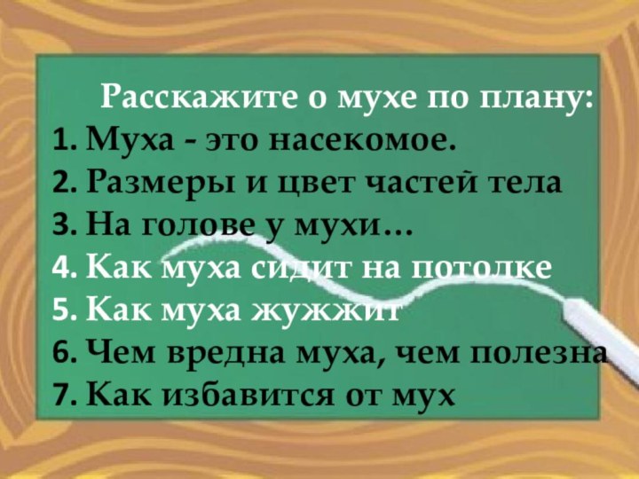 Расскажите о мухе по плану:Муха - это насекомое.Размеры и цвет частей тела