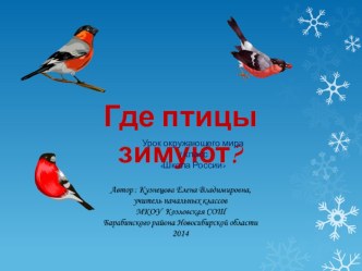 Презентация: Где зимуют птицы? презентация к уроку по окружающему миру (3 класс)