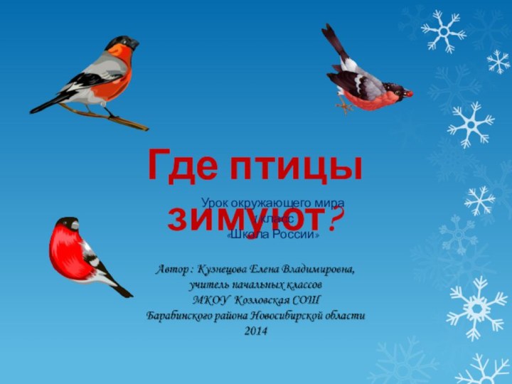 Где птицы зимуют?Урок окружающего мира1 класс«Школа России»