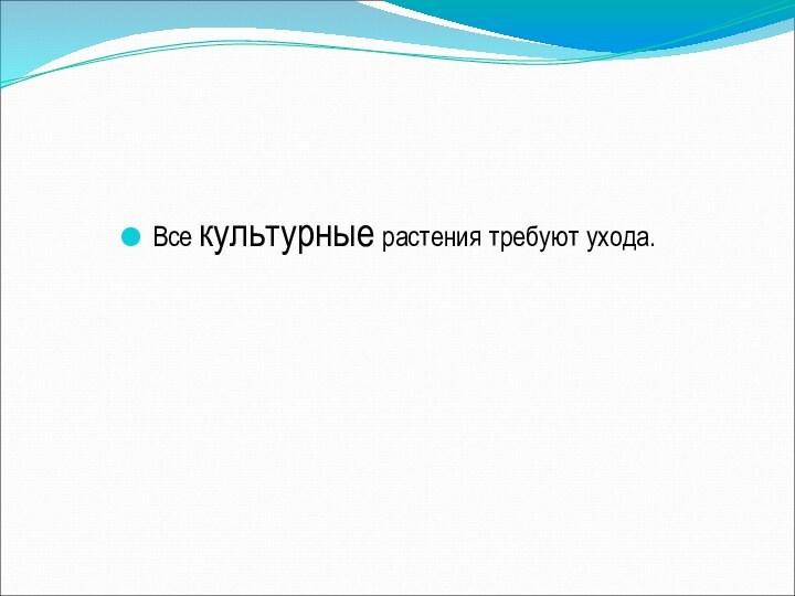 Все культурные растения требуют ухода.