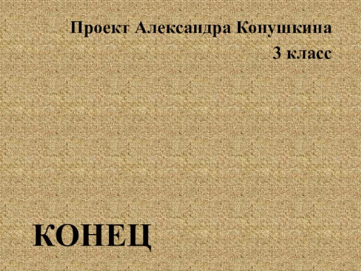 КОНЕЦПроект Александра Конушкина 3 класс