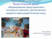 педагогический проект Формирование представлений о сенсорных эталонах у детей раннего возраста через дидактическую игру проект (младшая группа)