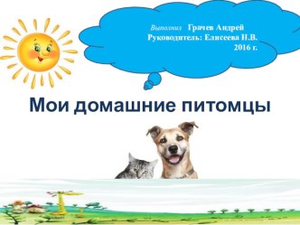 Презентация: Мои домашние питомцы. презентация к уроку (младшая группа) по теме
