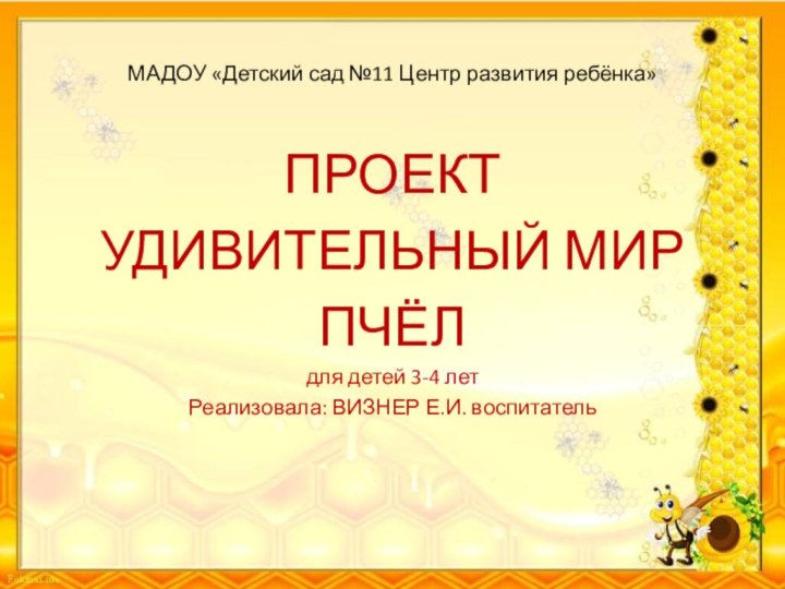 МАДОУ «Детский сад №11 Центр развития ребёнка»ПРОЕКТУДИВИТЕЛЬНЫЙ МИР ПЧЁЛдля детей 3-4 летРеализовала: ВИЗНЕР Е.И. воспитатель