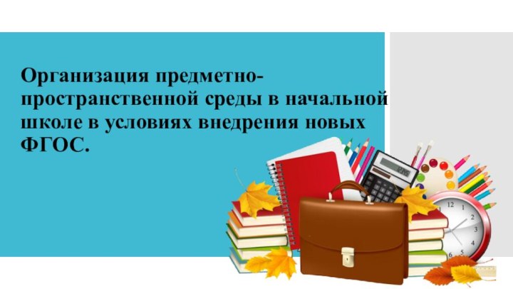 Организация предметно-пространственной среды в начальной школе в условиях внедрения новых ФГОС.