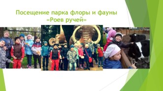 Проект Наш Красноярский край проект (3 класс)