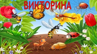 Викторина : Насекомые. презентация к уроку по окружающему миру (средняя группа)