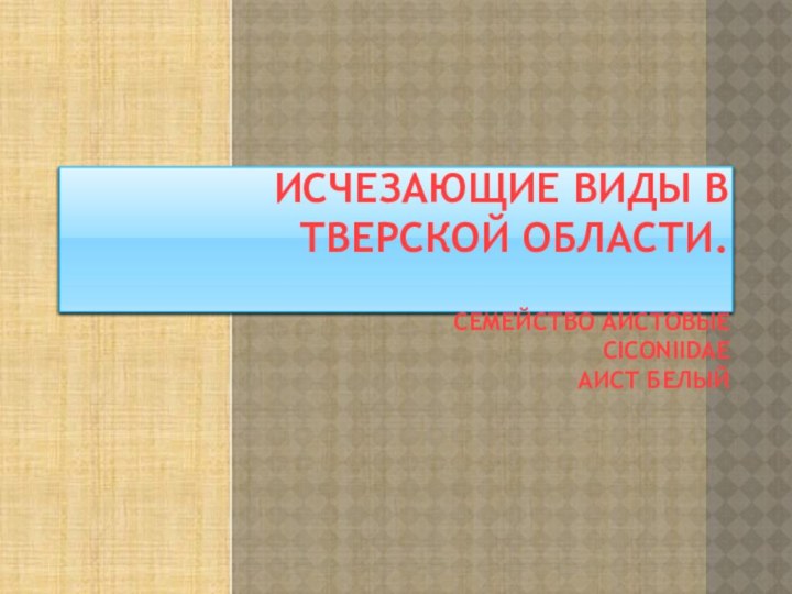 Исчезающие виды в Тверской области. СЕМЕЙСТВО АИСТОВЫЕ  CICONIIDAE АИСТ БЕЛЫЙ